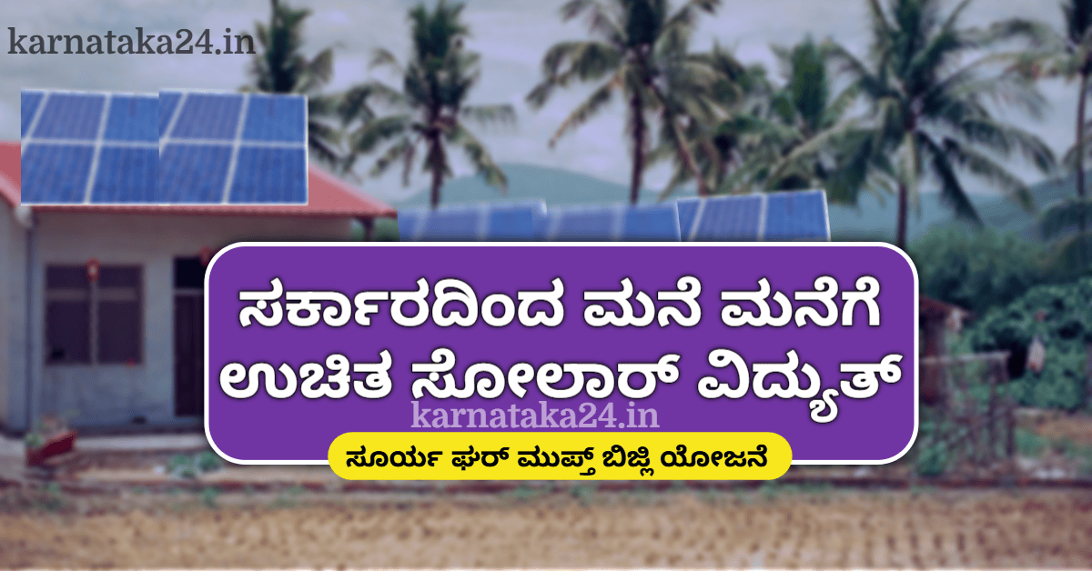 Solar Electricity Subsidy