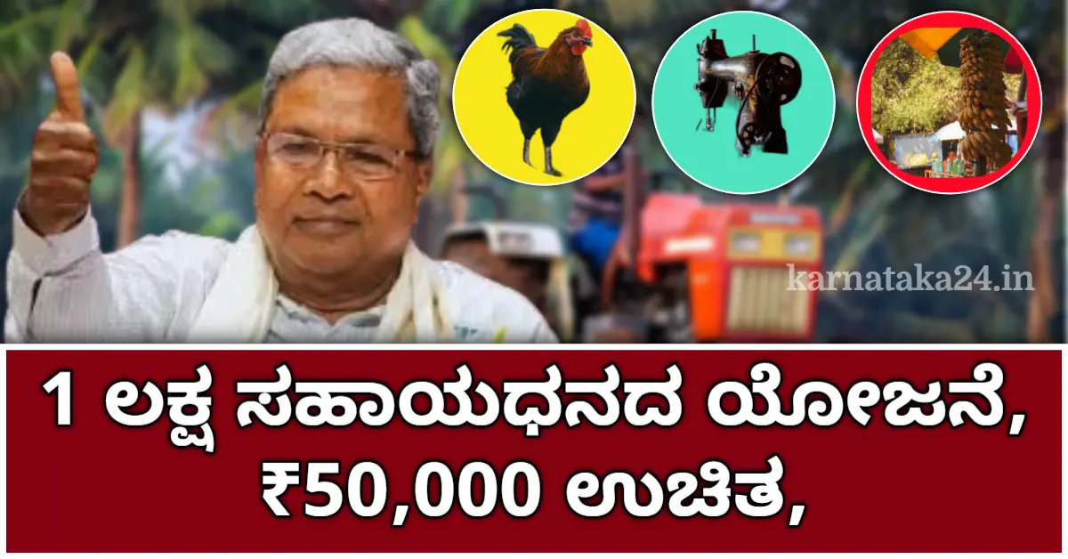 Self Employment Loan Scheme