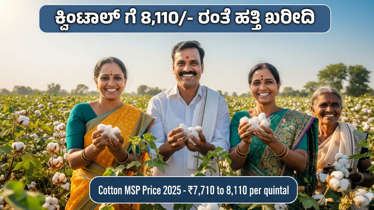 Cotton MSP Price