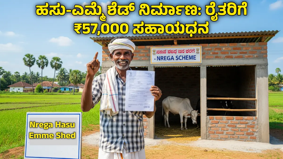 Nrega Hasu Emme Shed